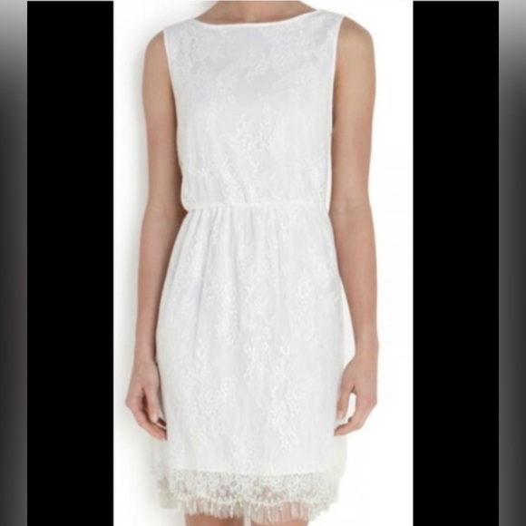 Alice + Olivia lace embellished dress, size L, never worn - Picture 4 of 13